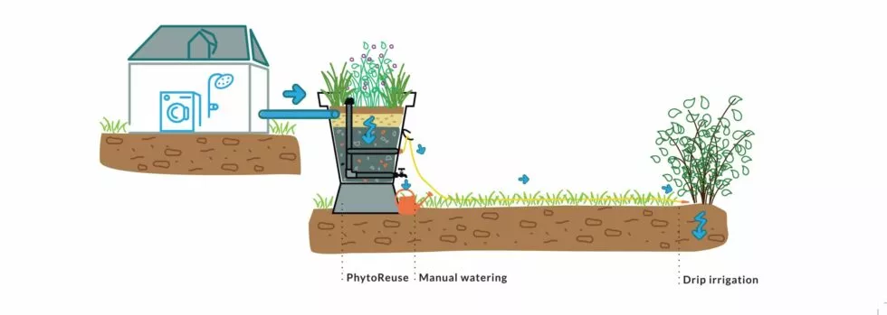 SCHEMA PHYTOREUSE