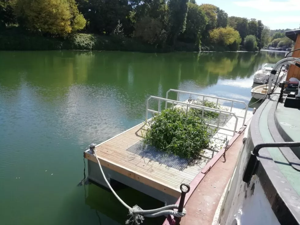 PhytoFlottante