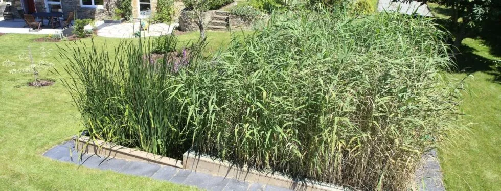 Fonctionnement d'une fosse septique