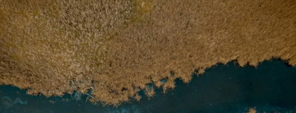 L'épandage d'une fosse septique