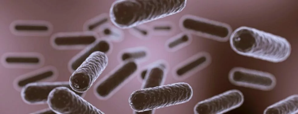 Comment fonctionne une micro-station d'épuration