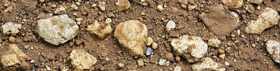 Étude de sol pour assainissement : types, prix et réglementation